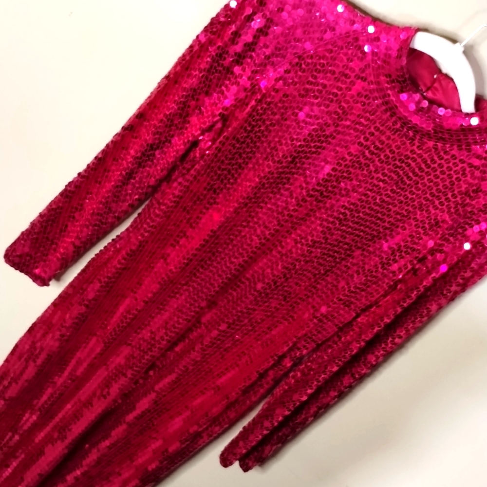 2. Nite Line Vintage Raspberry Sequined Dress